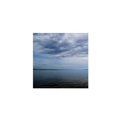 Best Whip Cream Charger